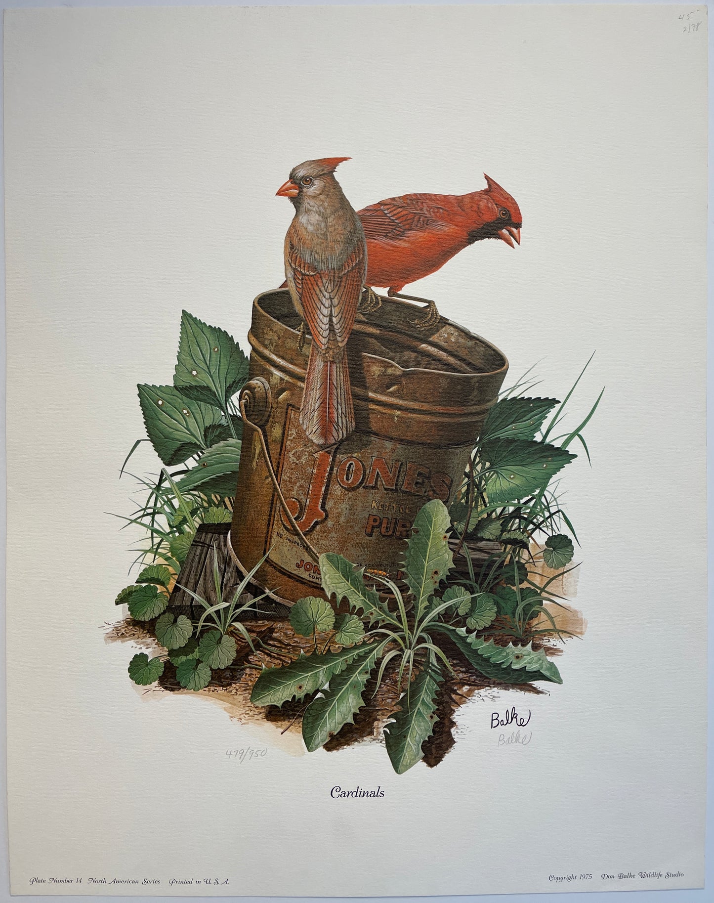 Cardinals