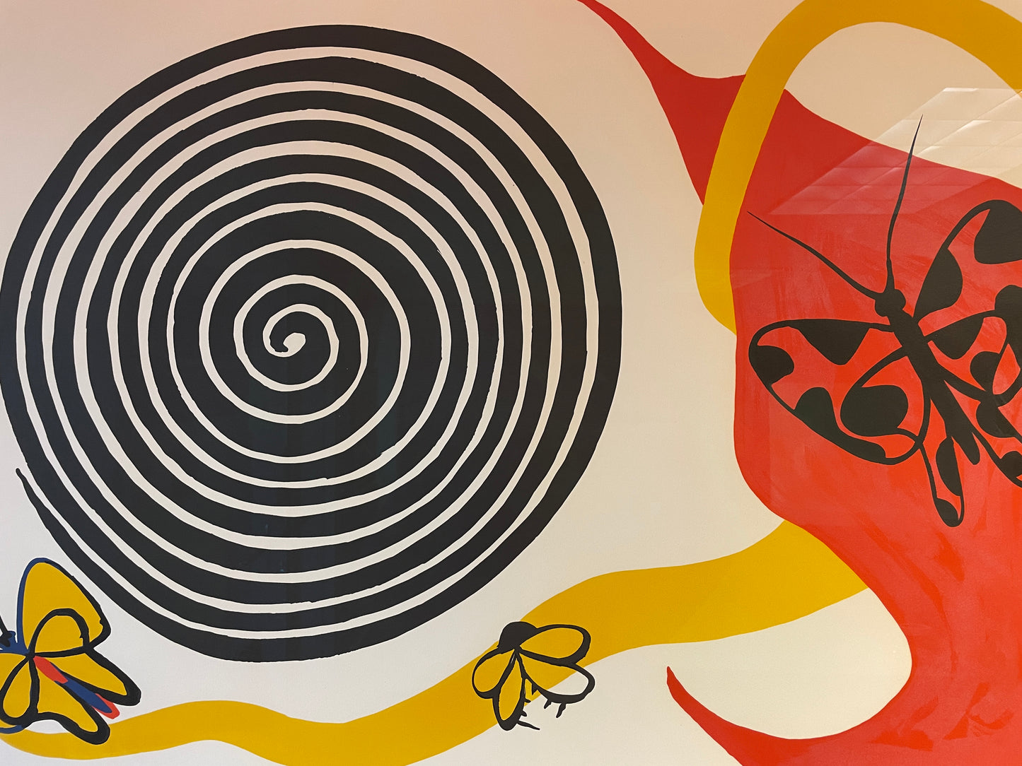 Butterflies and Spirals